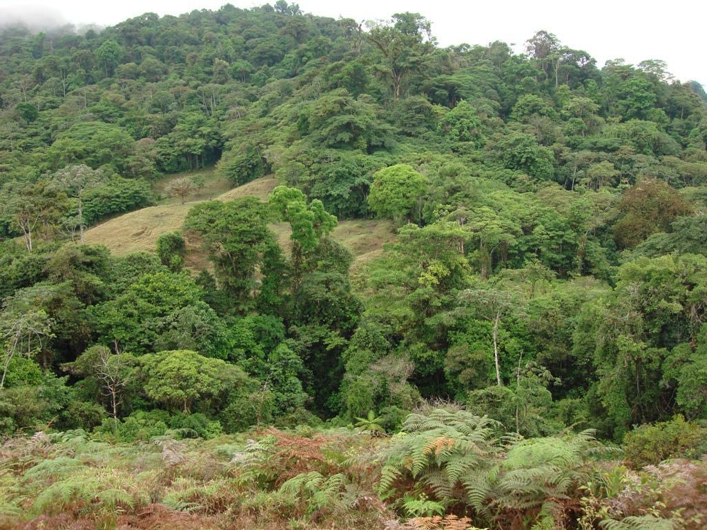 Los Cerritos Farm – 6.4 Acres of Ocean & Mountain Serenity