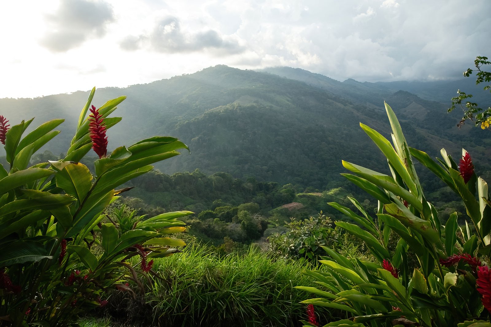 60+ Hectares in Platanillo | Own Your Own Mountain in Costa Rica