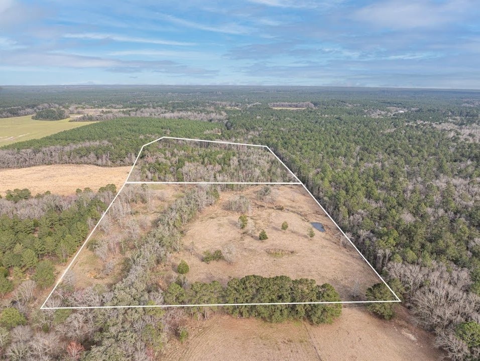 26.89 Acres of Untouched Florida Land | Thames Rd, Baker, FL | Pond, Wildlife & Buildable Land