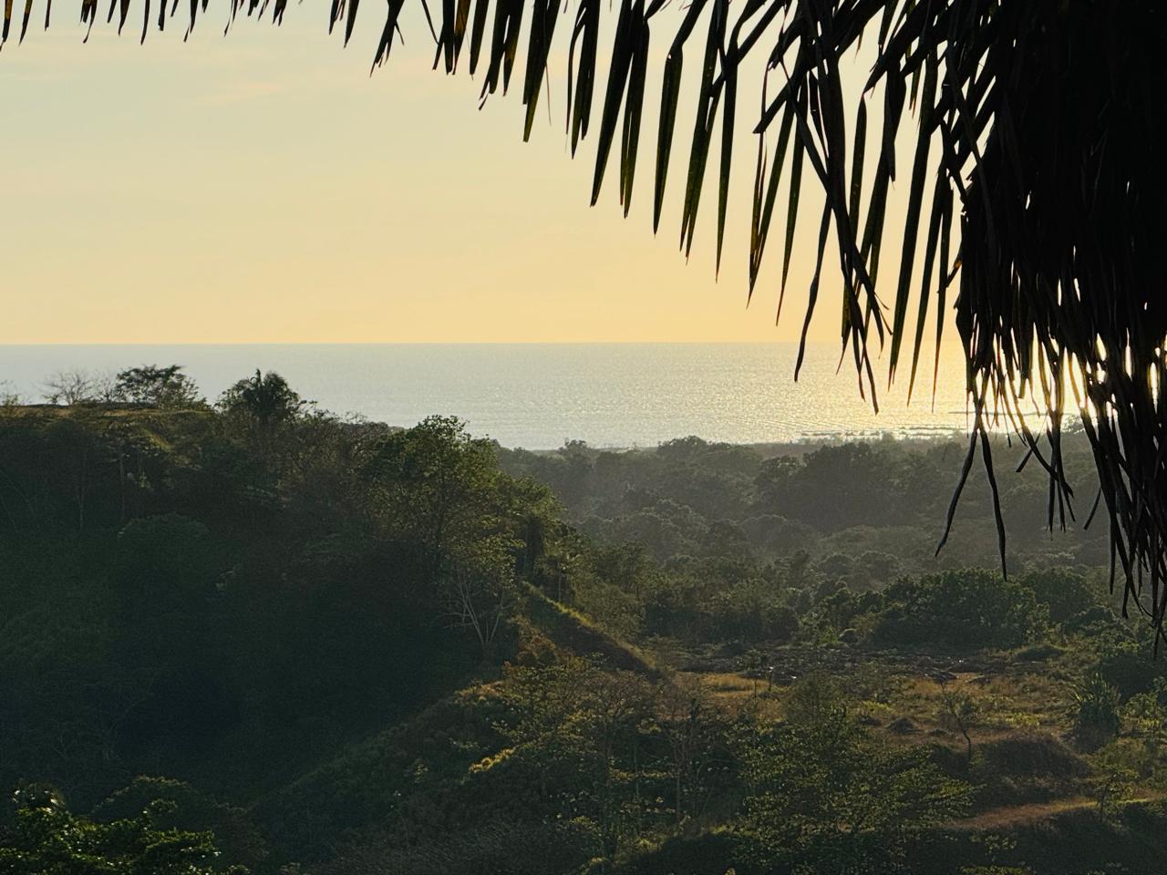 Finca Herradura | 82-Hectare Ocean View Development Land Near Los Sueños, Jacó