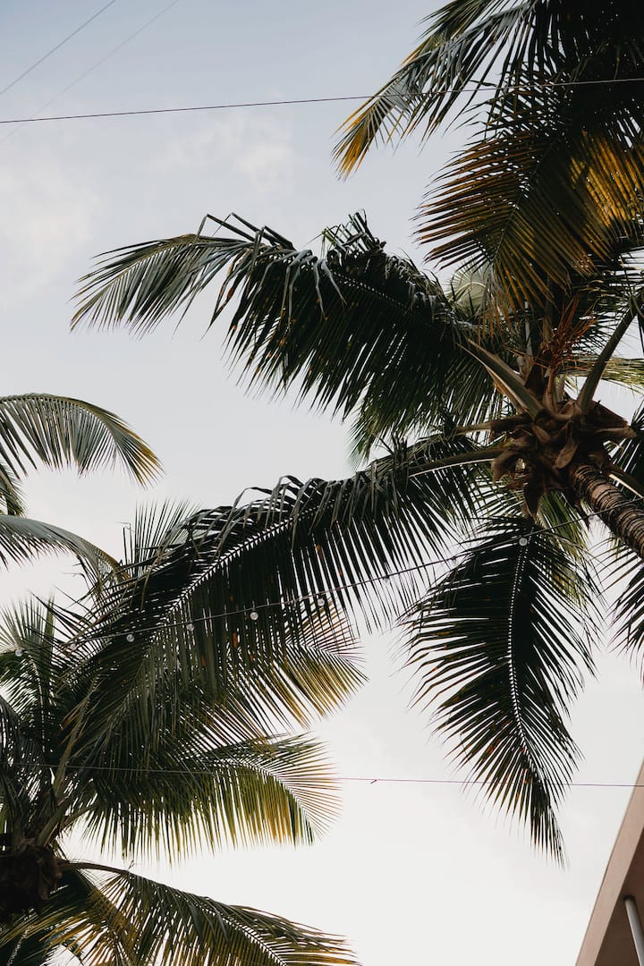 Casa Terra Porto #1• Bright Corner Unit w/ Rooftop - Airbnb