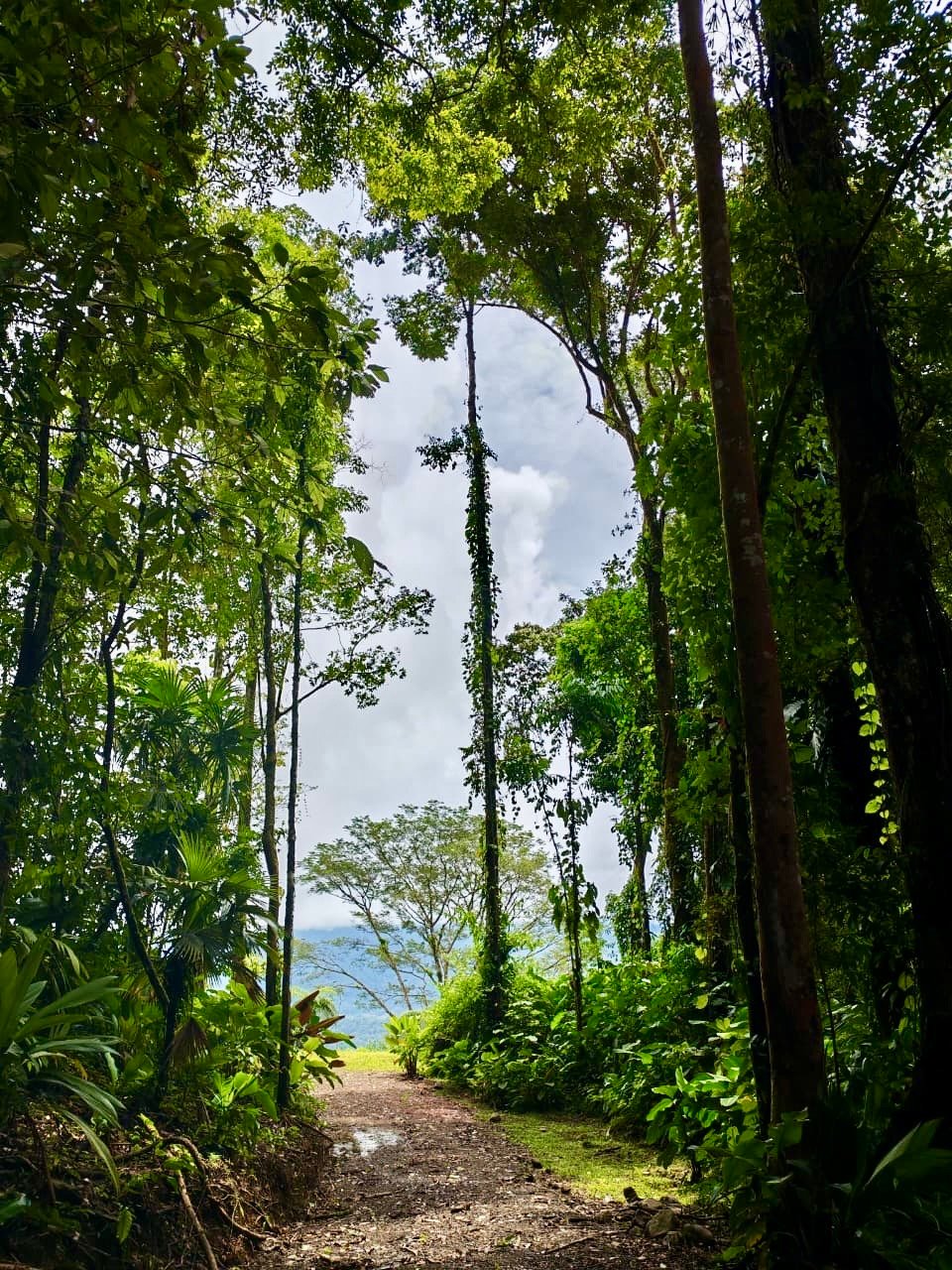 24.7-Acre Ocean View Eco Estate in San Cristóbal de Aguirre | 5 Building Sites
