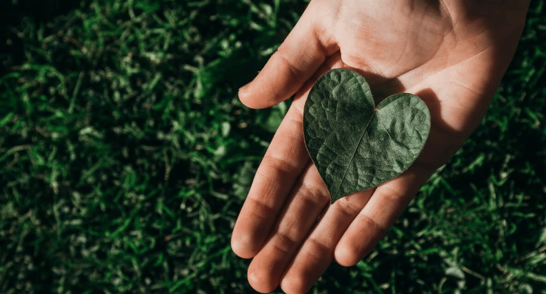Hand holding a heart-shaped leaf above grass