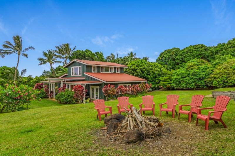 I Once Bought the Most Expensive Lychee Tree on Kauai