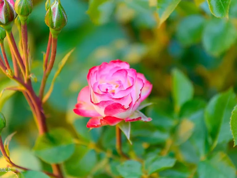 2272 ROADRUNNER Road, Sedona