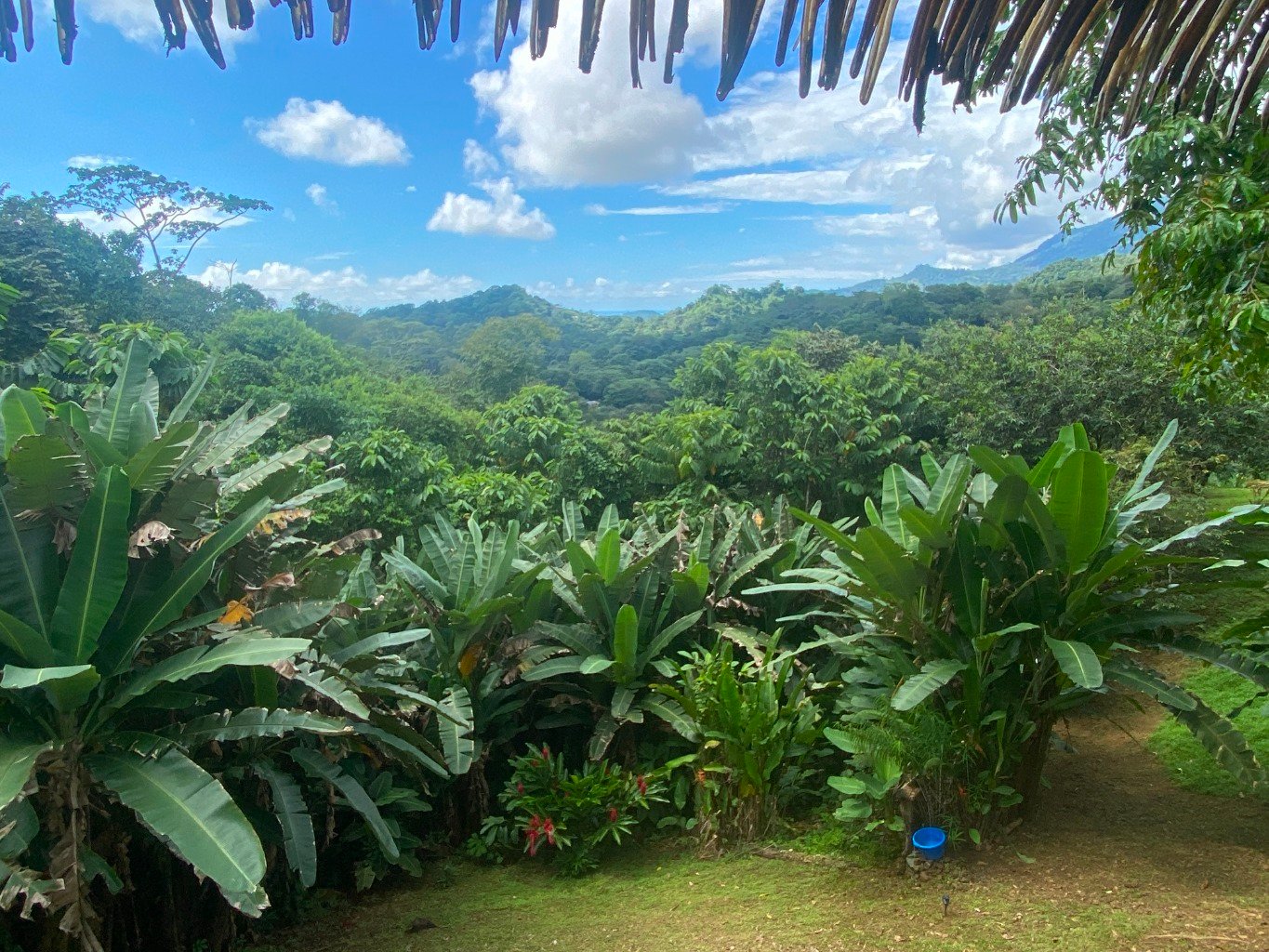 Stunning 3.5-Acre Ocean View Property in Costa Rica – Endless Possibilities Await!