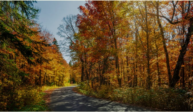 Barbara Sweeney Homes October 2026 Newsletter