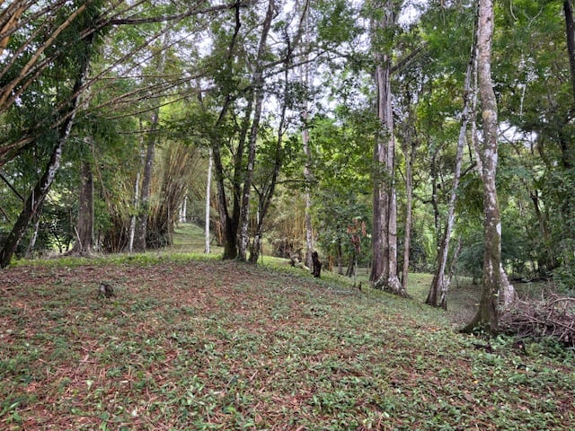 17.85 ACRES – Stunning Large Land With 2 Waterfalls Near Dominical Beach!!!