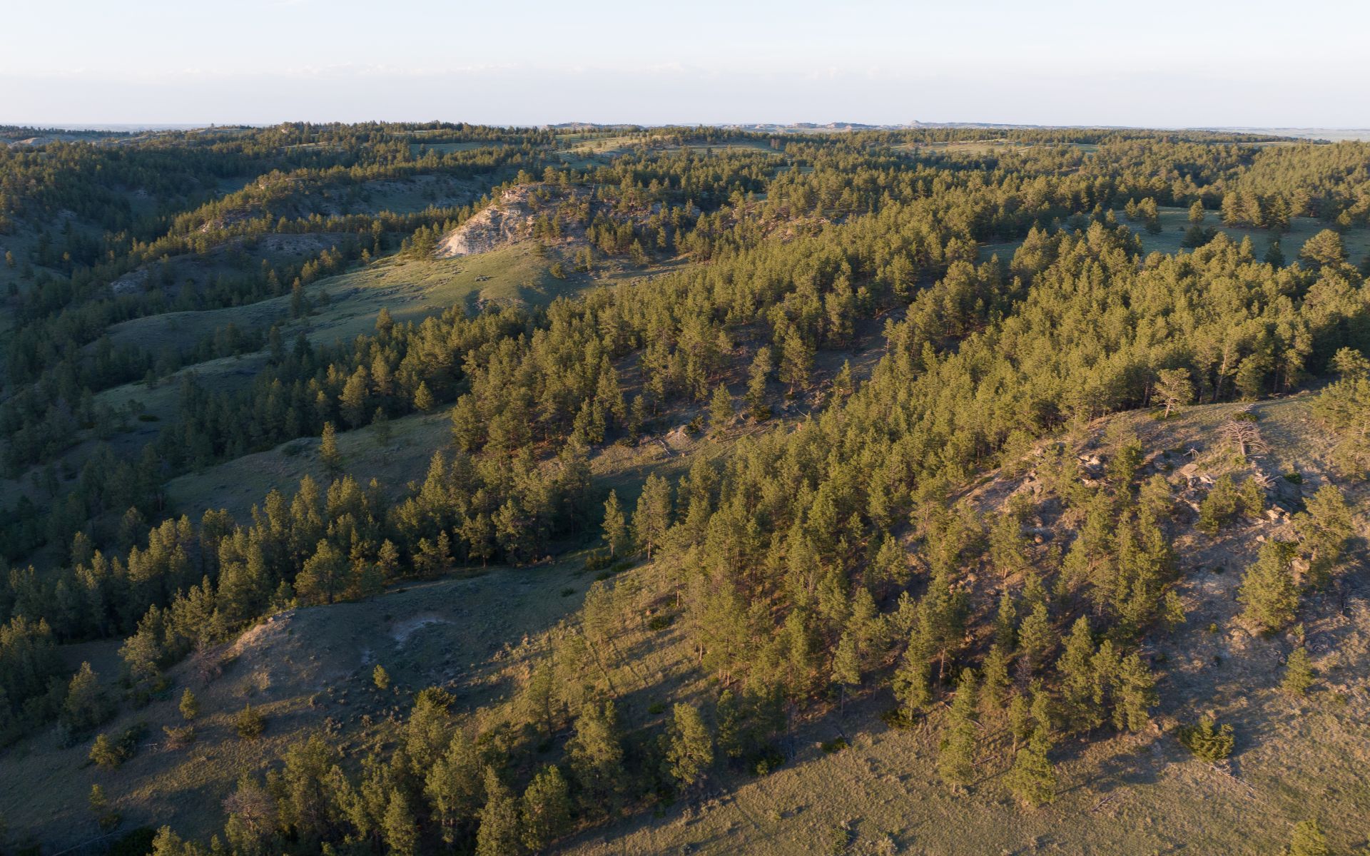 Elk Rich Ranch