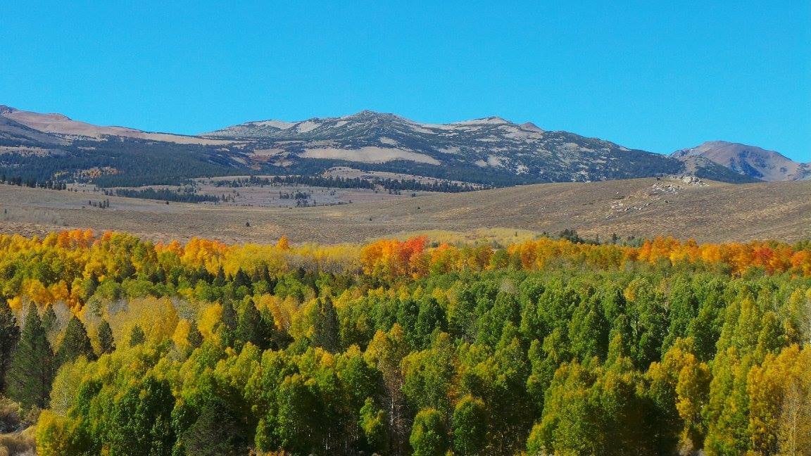 Fall & Pre-Winter Home Prep Checklist for Tahoe Condos