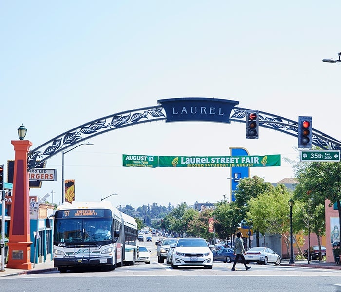 Laurel
