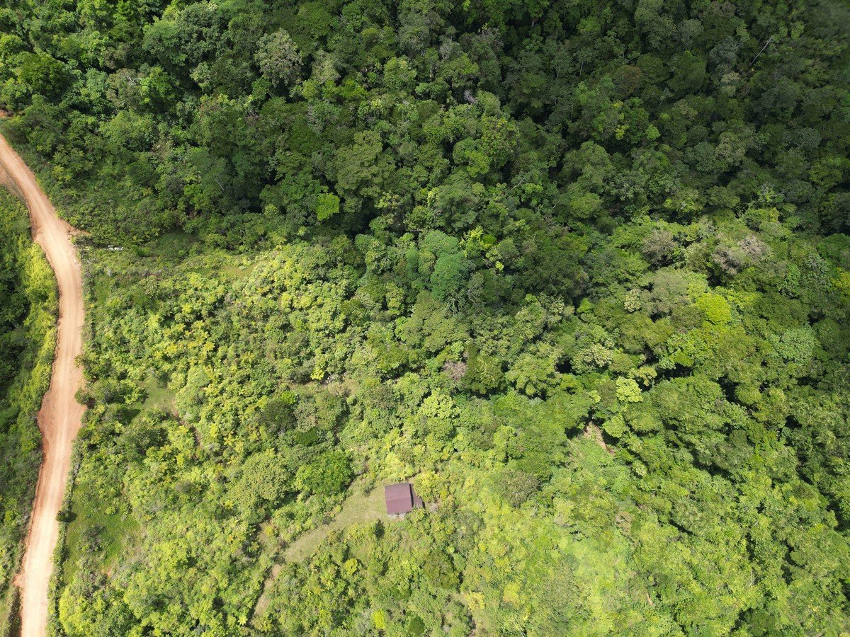 32 ACRES – Mountain Land With Spring, Jungle & Usable Space!!!!