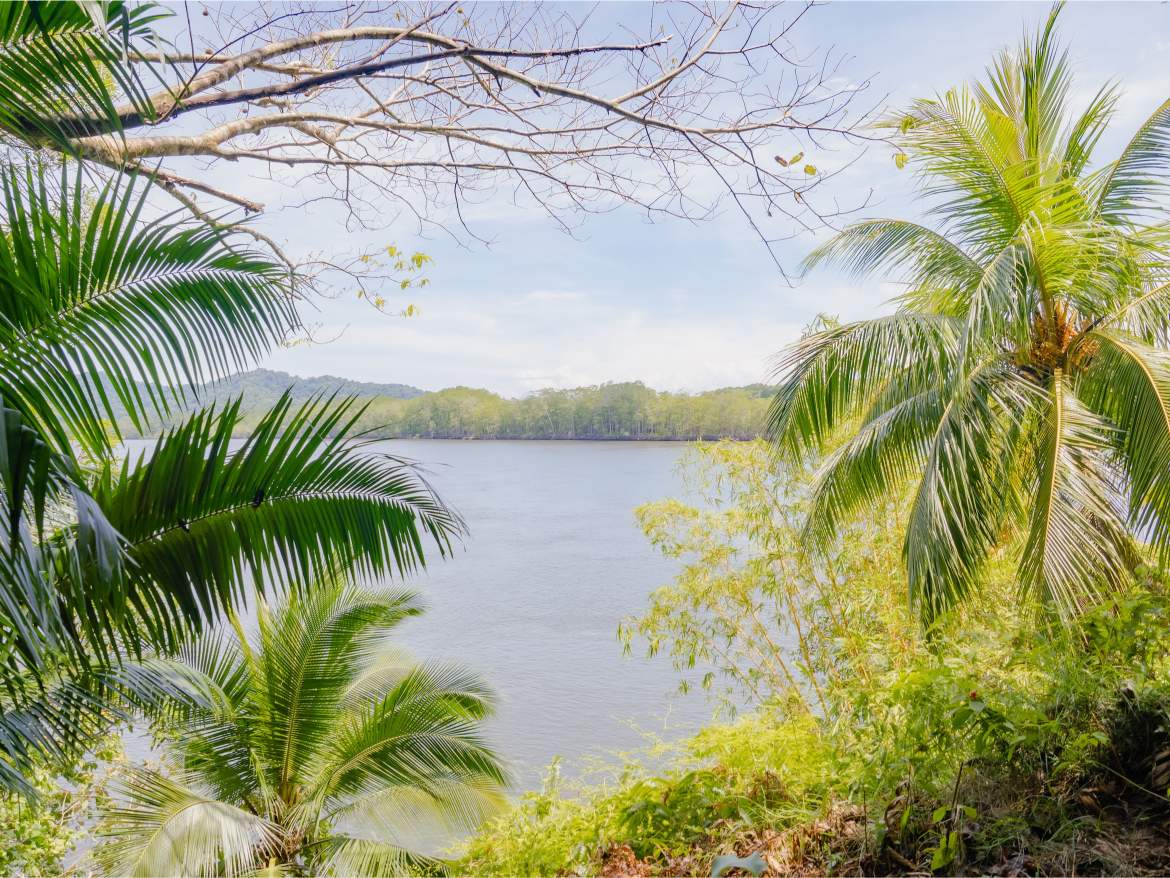 247 Acres of Riverfront Rainforest with Hospitality Potential - Sarangundí Eco-Development Sanctuary Near Corcovado