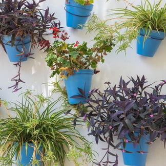 DIY Ideas for a Backyard Oasis!