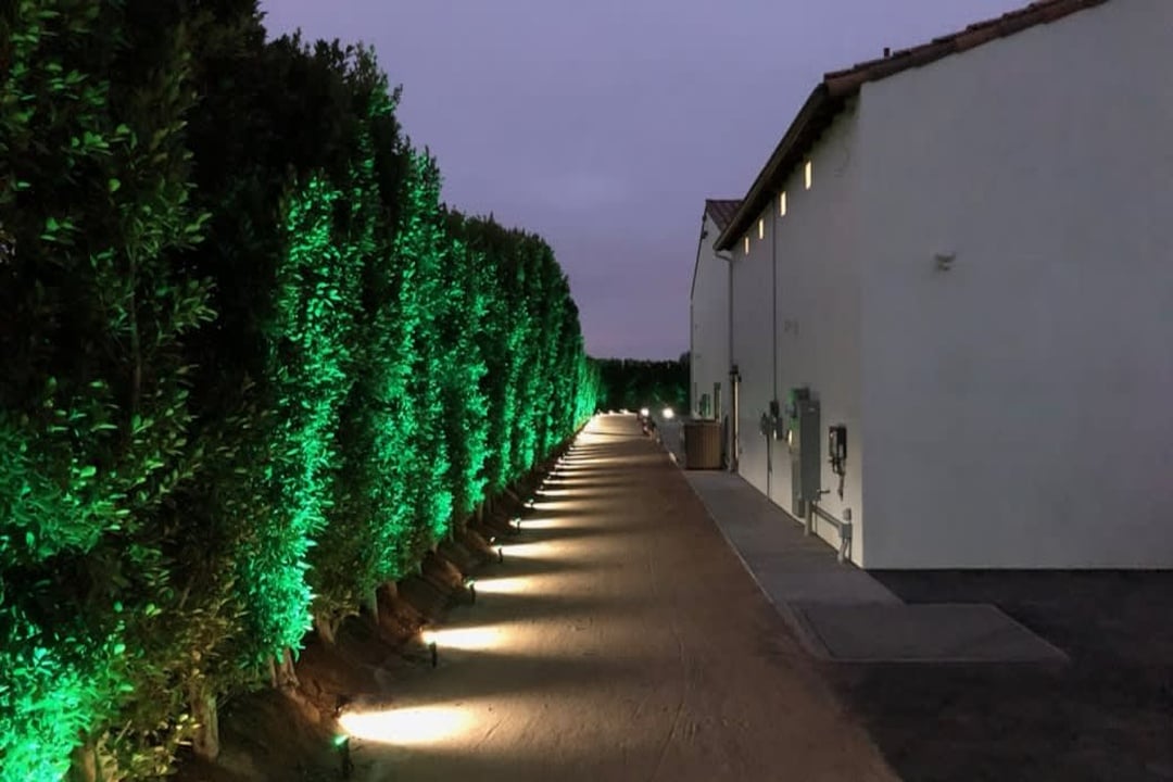 Verdant Sanctuary