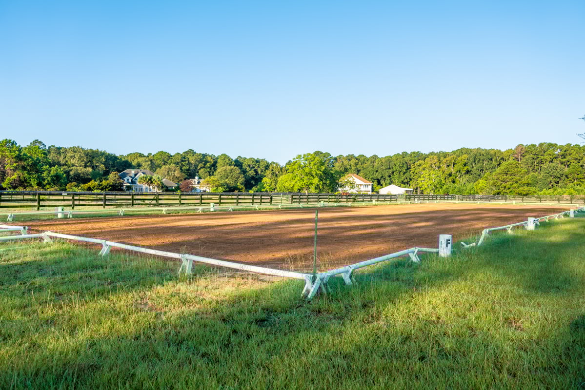 Pricing Strategy by Segment in Rose Hill