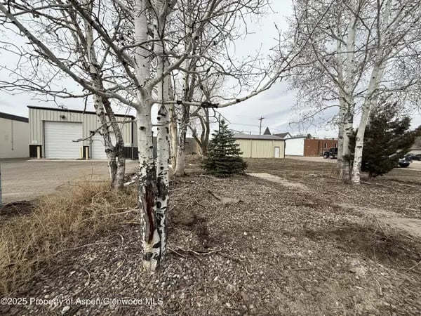 Bare trees and a small evergreen stand in front of low industrial buildings.