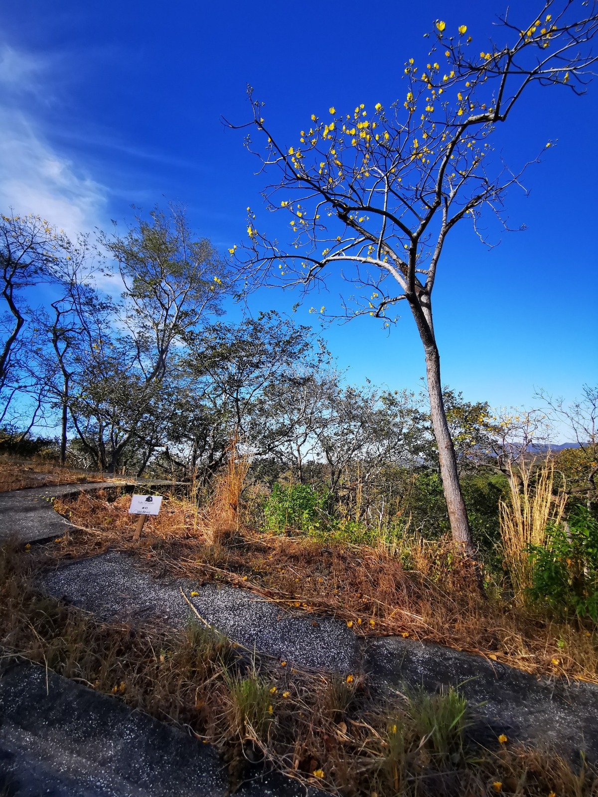 Valle Escondido