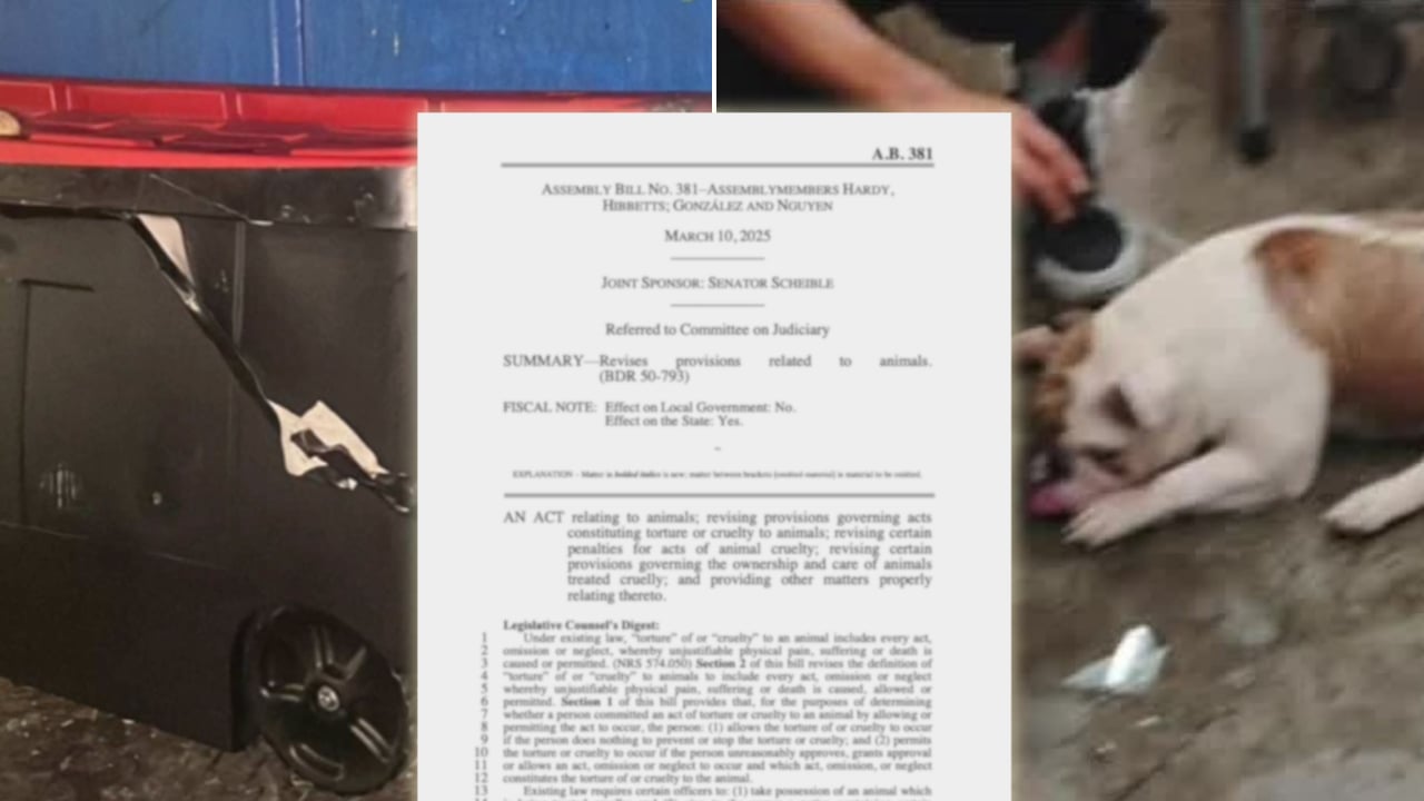Gov. Joe Lombardo signs Reba's Law, increasing penalties for animal cruelty offenses