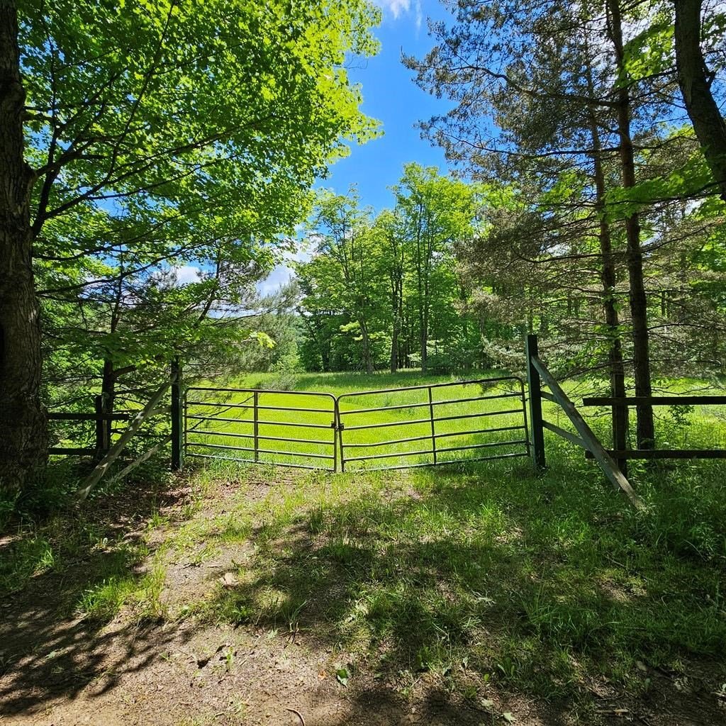 359 Gazdag Road