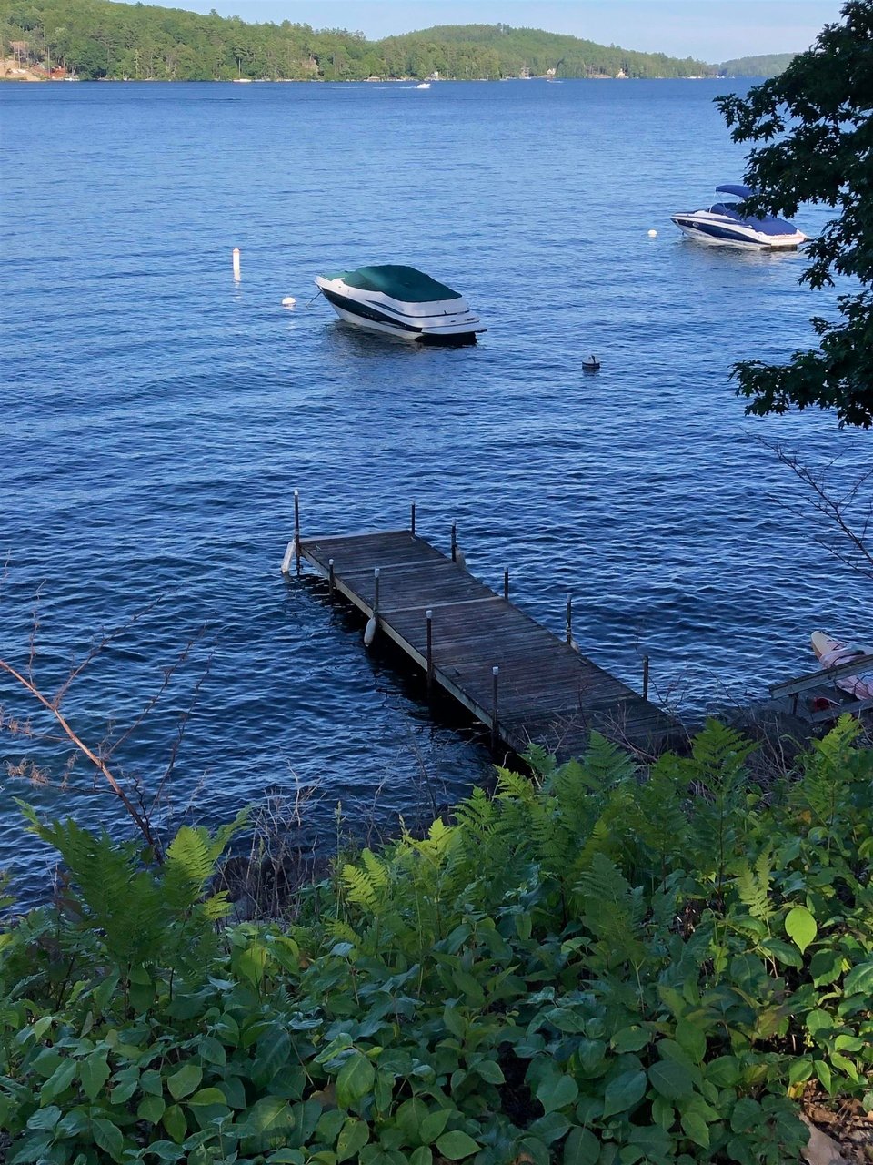 15 E Bluff Vlg