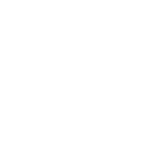 logo {{@index}}