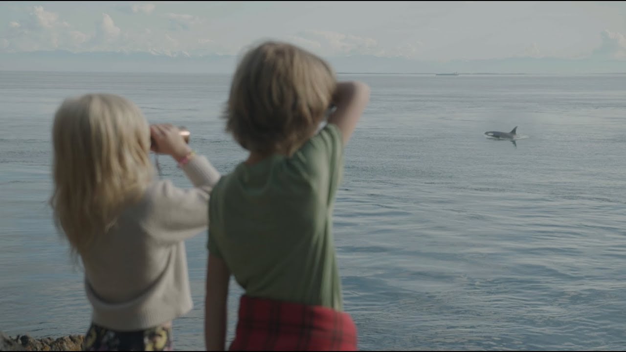 When I Was Younger - San Juan Island