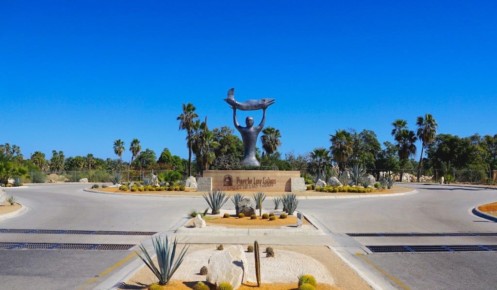 Neighborhood Luxury Amenities