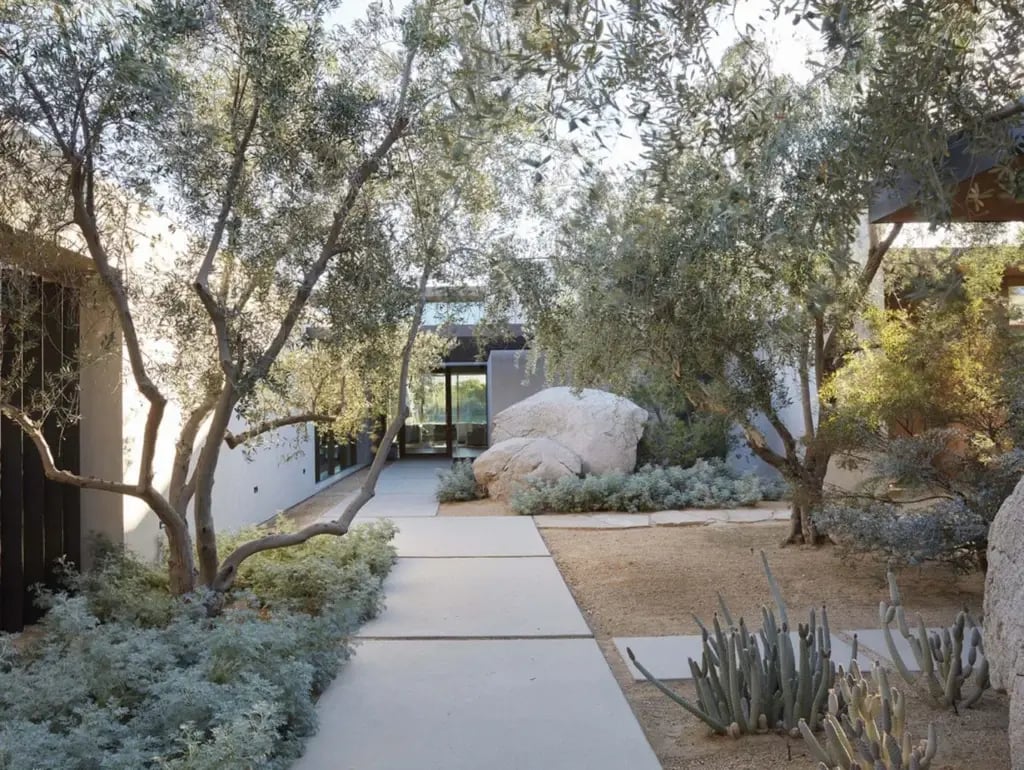Fire-Safe Trees for Santa Barbara Homes: Luxury Landscaping Guide 2025