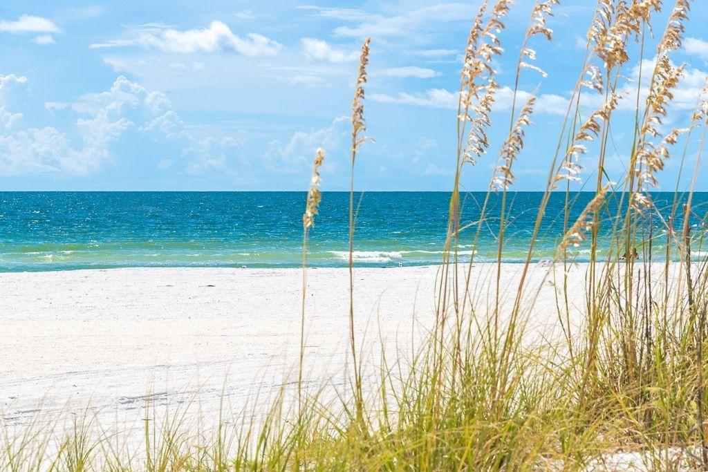 Peaceful Florida beach with soft white sand, sea oats, and clear Gulf water
