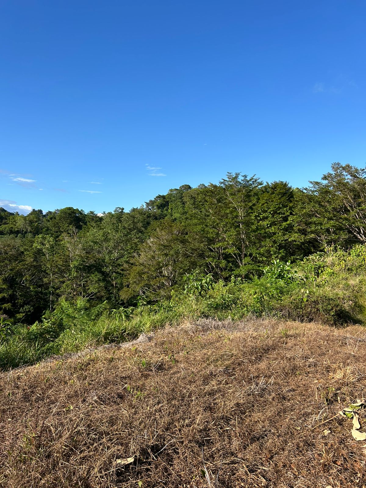 67 acres development (15 titled lots) with breathtaking views in Sierpe