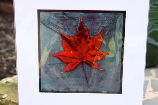 Amazing New Goodies in Falls Church Shop