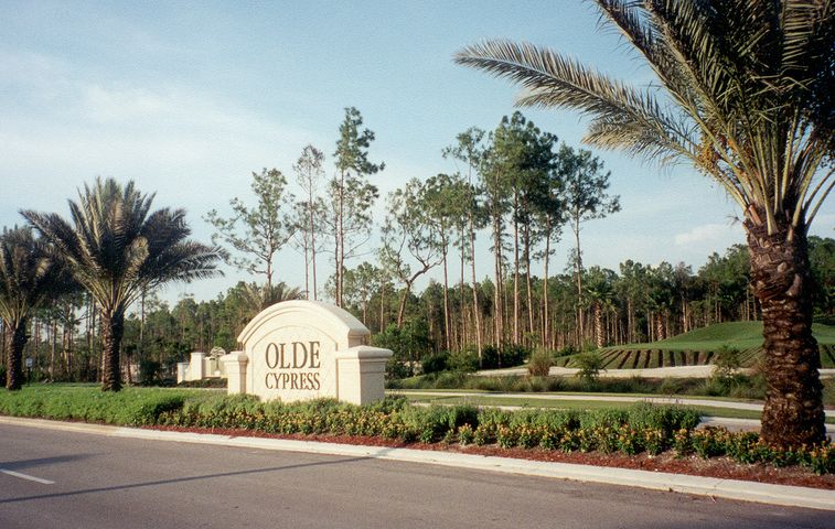 Olde Cypress
