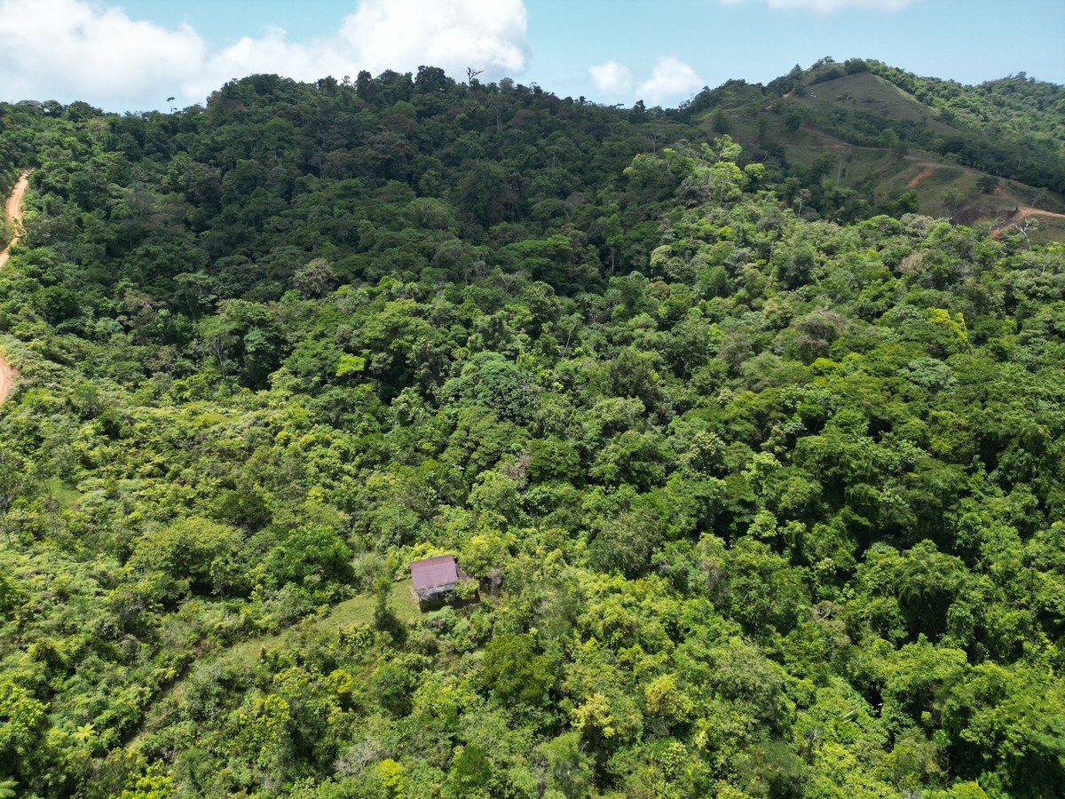 32 ACRES – Mountain Land With Spring, Jungle & Usable Space!!!!