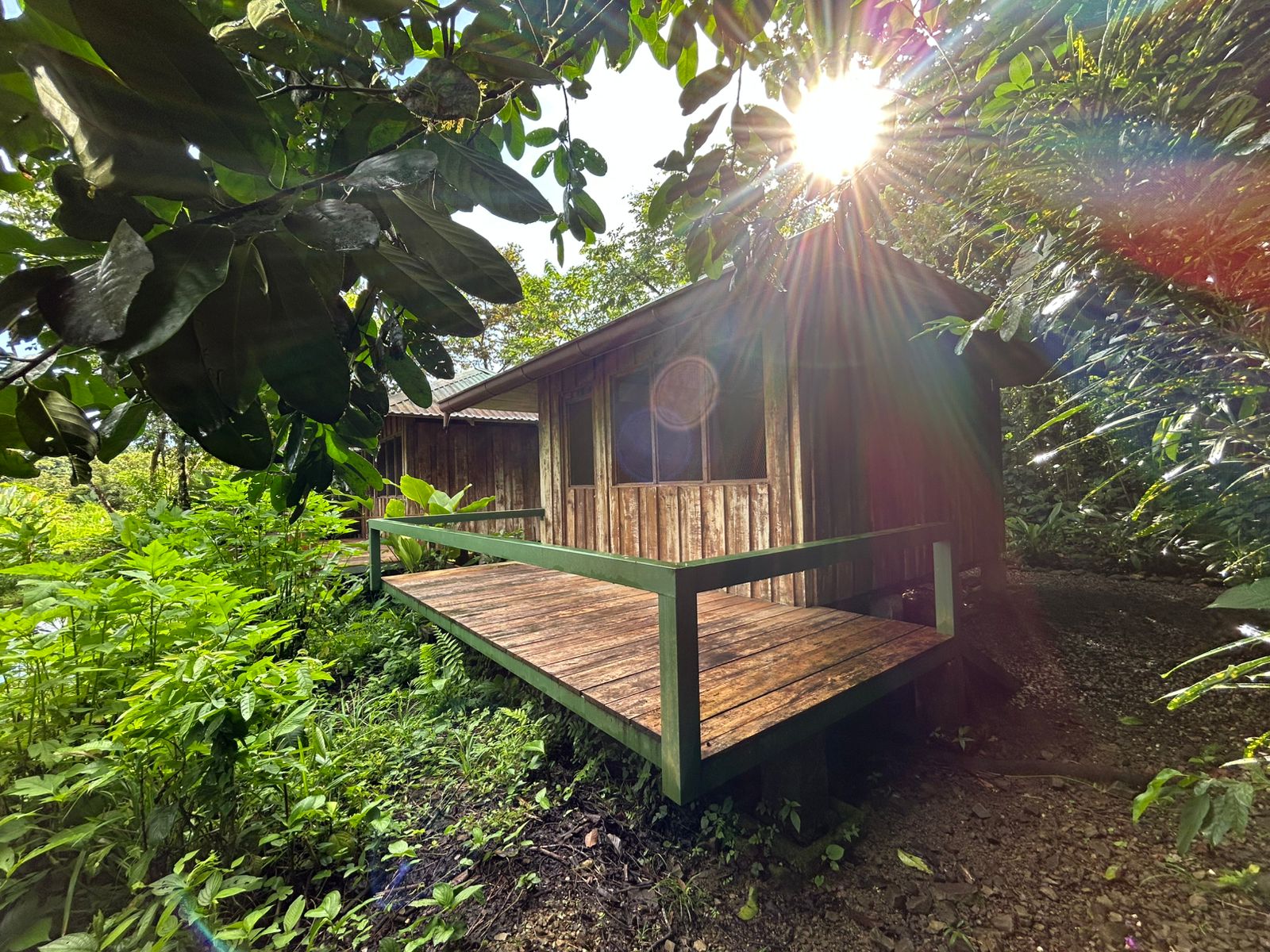 60 Acre Fully Sustainable and Impactful Conservation Initiative Near Golfito
