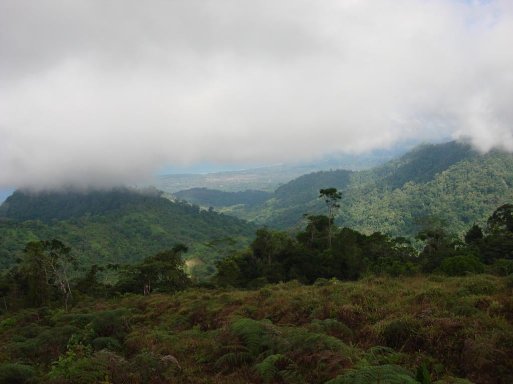 Los Cerritos Farm – 6.4 Acres of Ocean & Mountain Serenity