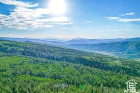 17602 S Wolf Creek Cir