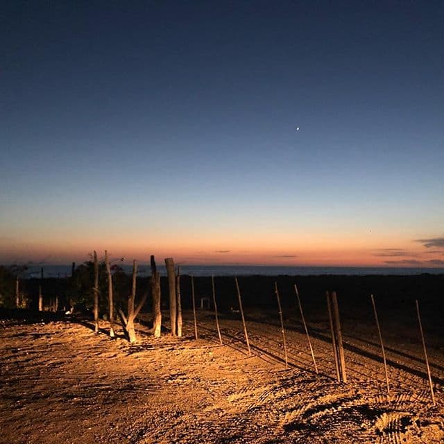 A part of the lifestyle of Todos Santos