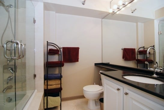 345 N LaSalle Dr: Unit 3901