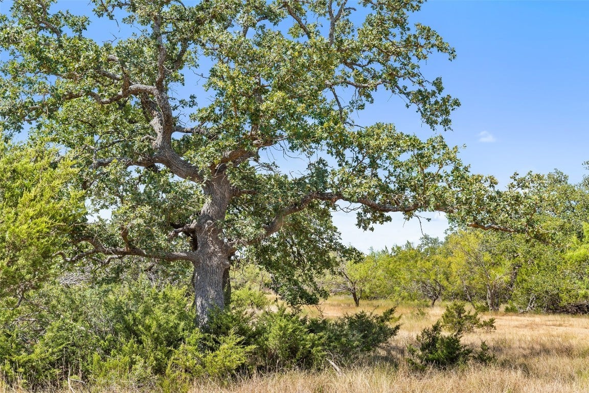 18.145 Acres Herber-schaefer Rd