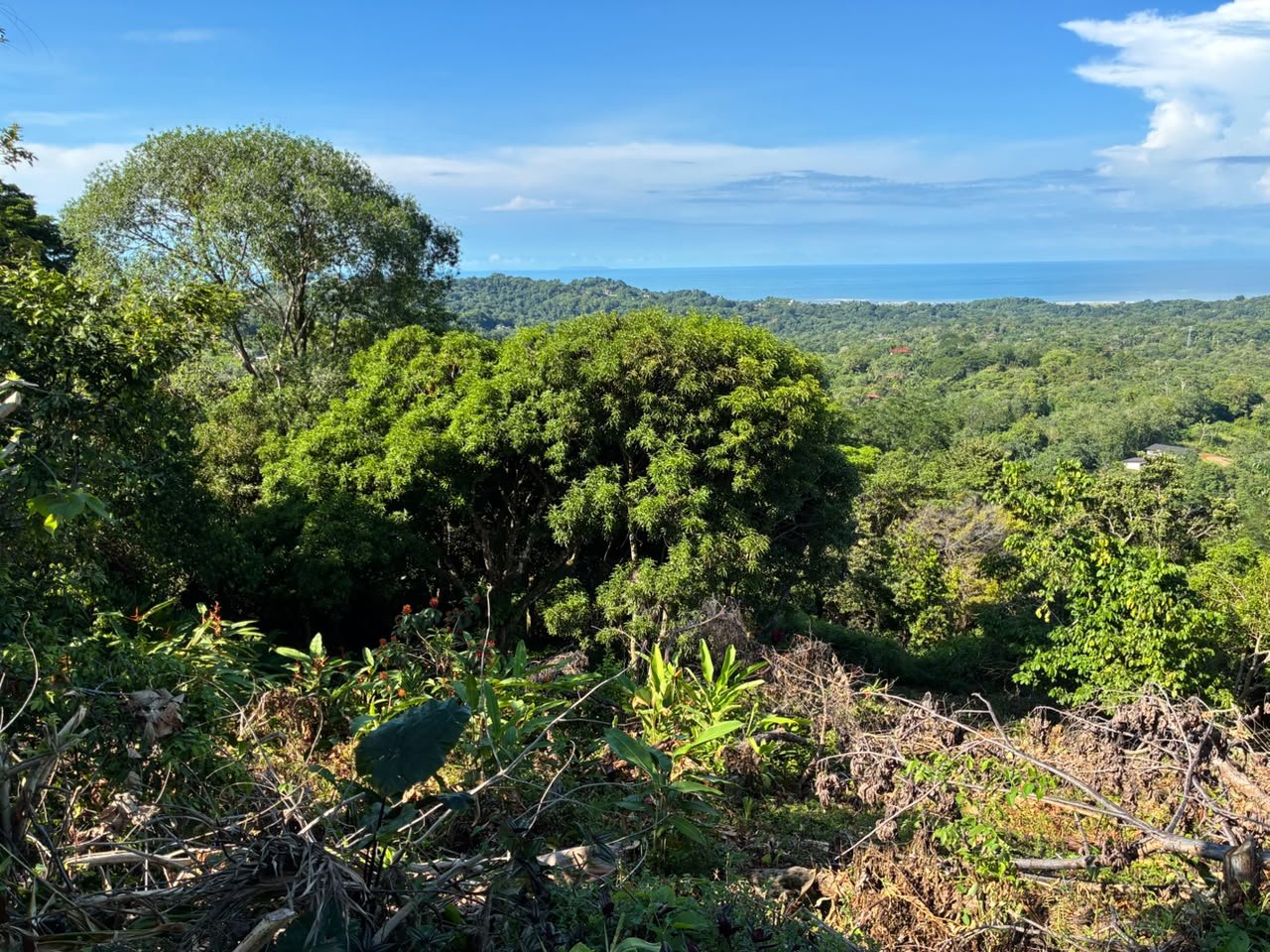 Spectacular Ocean View Lot in Ojochal Phase 9