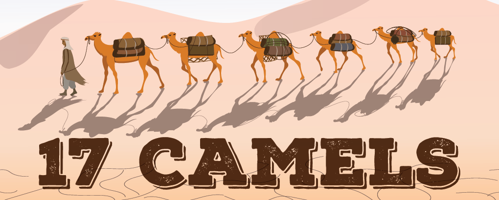 17 Camels