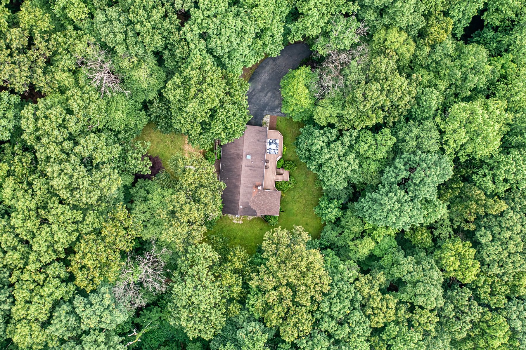 3117 Aspen Lane