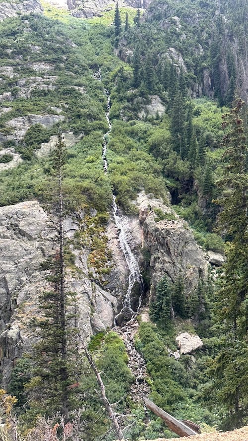 Driving Into the Wild: A Sensory Journey Along Old Fall River Road