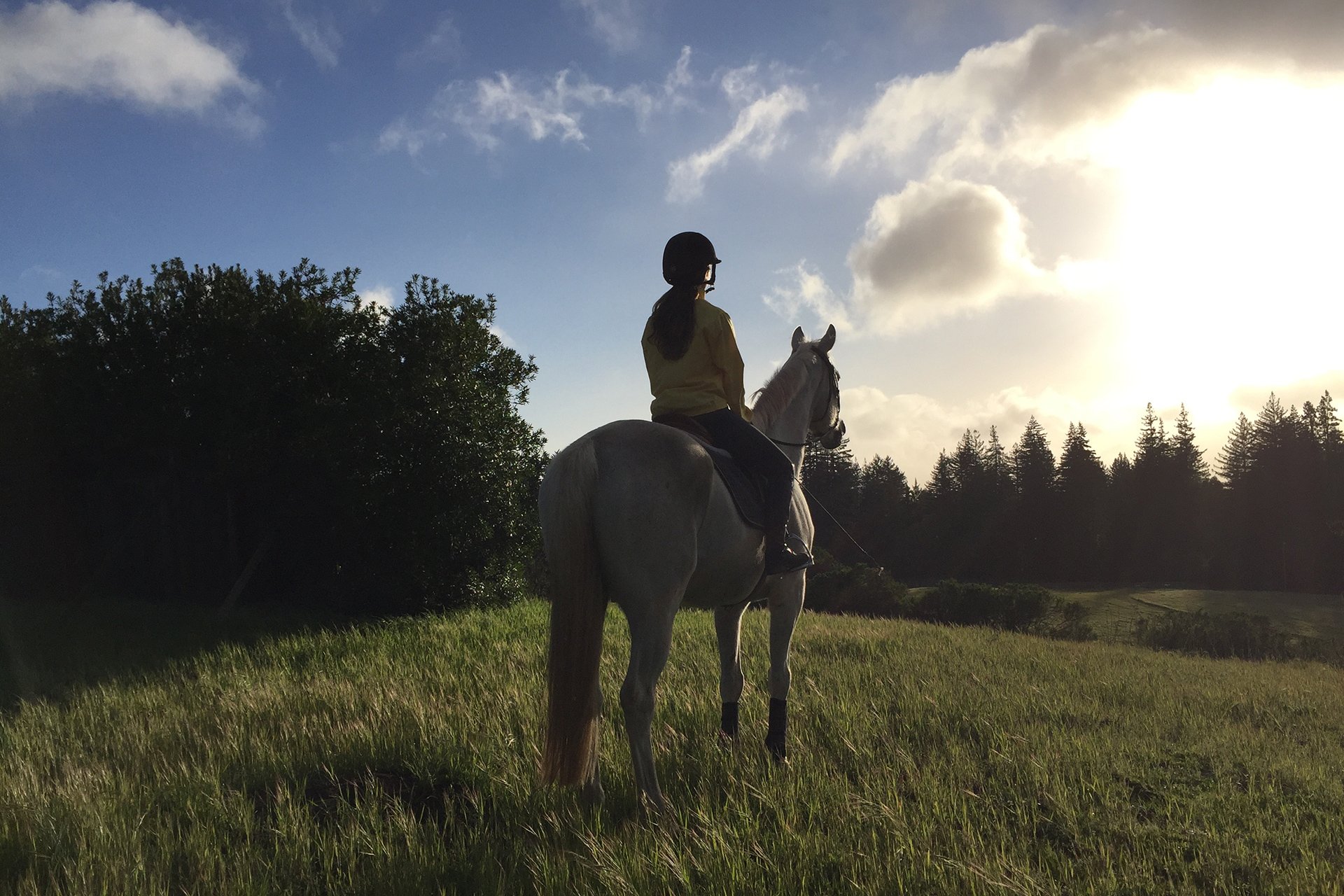 Santa Cruz Vineyard & Horse Property