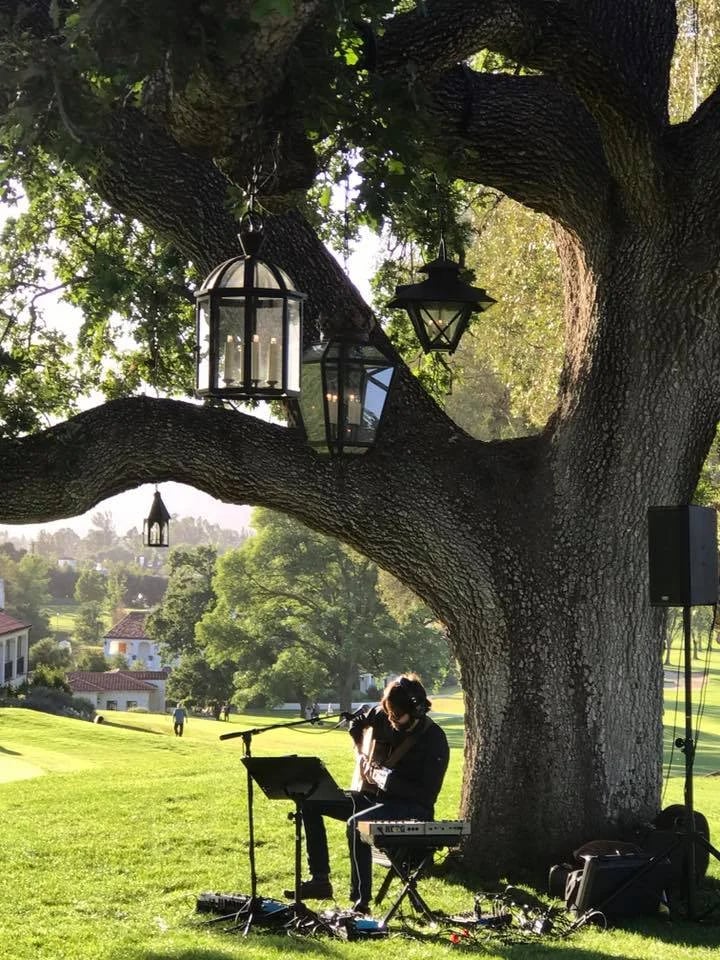A musician performs beneath hanging lanterns in a sprawling tree on a sunny lawn.