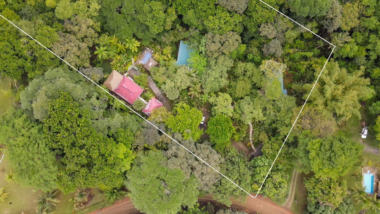 Modern House For Sale With Jungle View, Peaceful Stream, and Rental Cabins