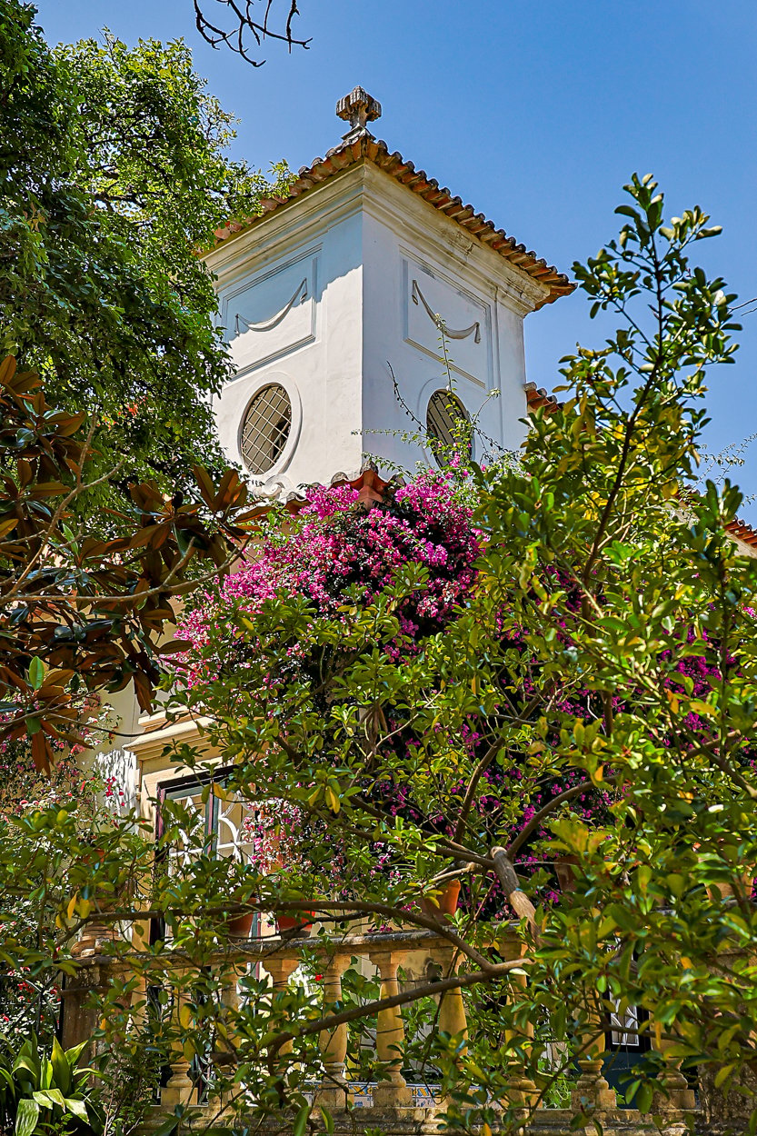 Magnificent 17th-Century Palace with  76,400 m² Estate Near Coimbra