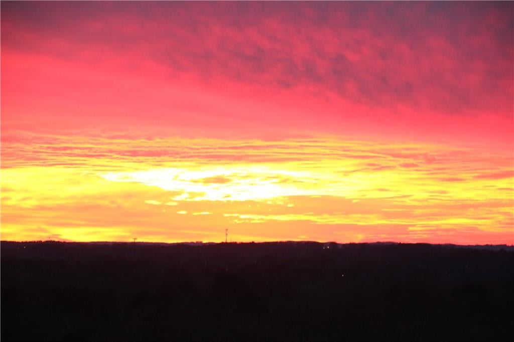 Vivid pink and orange sunset over a dark, tree-lined horizon.