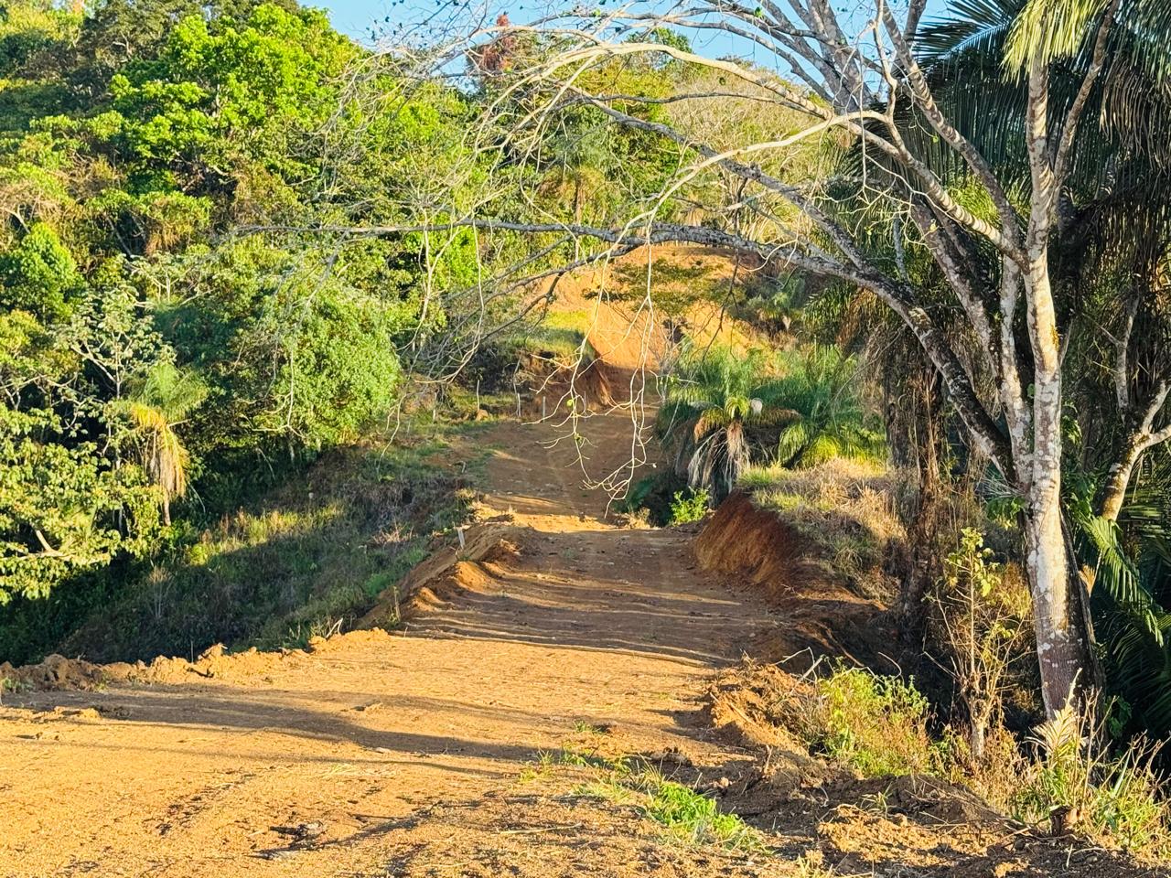 Finca Herradura | 82-Hectare Ocean View Development Land Near Los Sueños, Jacó